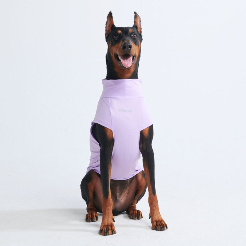 T-shirt pour chien avec écran solaire - Violet