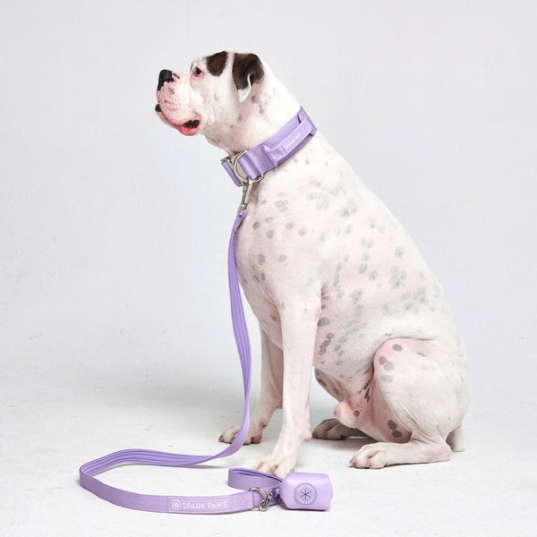 Ensemble de colliers tactiques pour chien - Lilas