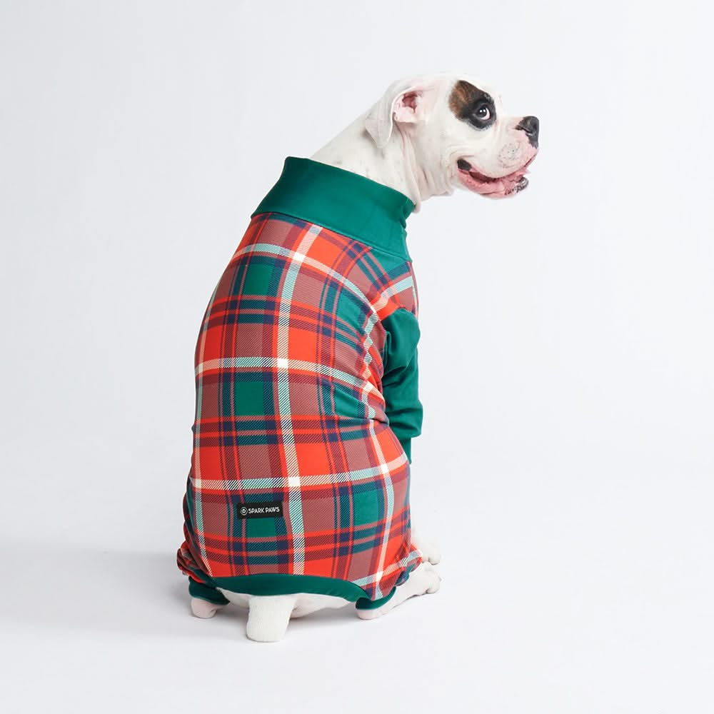 Chien pyjama sale