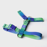 Lime Wave Harness